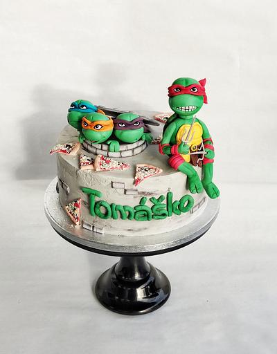 Ninja turtles - Cake by Ako cukor sladká