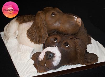 A pair of spaniels - Cake by Fondant Fantasies of Malvern