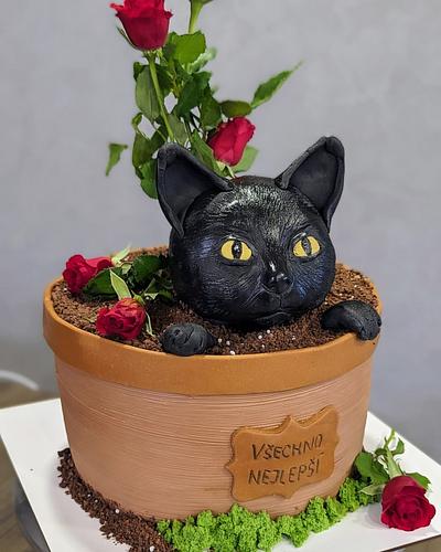 Birthday cake with black cat - Cake by Kateřina 