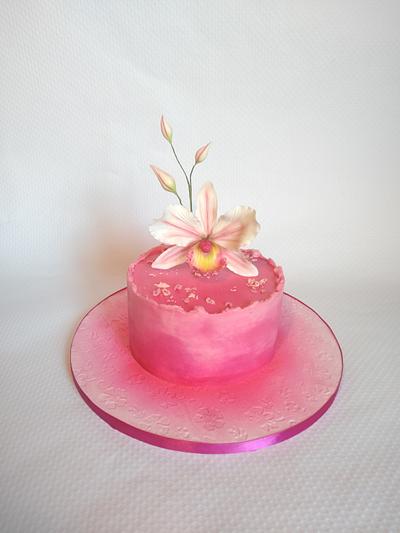 Code Pink 2 - Cake by Dari Karafizieva