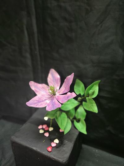 Clematis Branch - Cake by Dr RB.Sudha