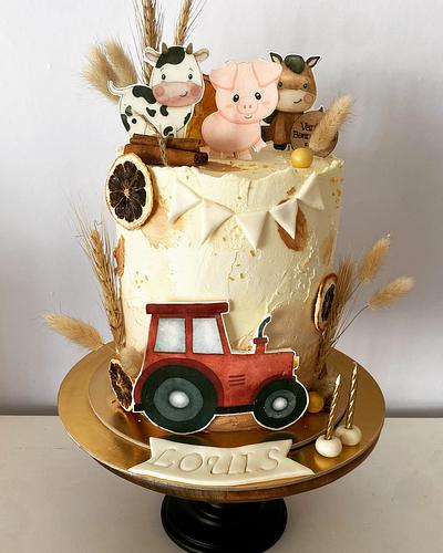 Rustic farm cake - Cake by Vanilla bean cakes Cyprus