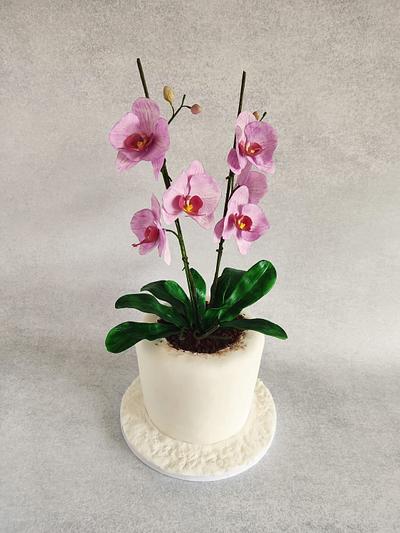 Cake with orchids - Cake by Katya