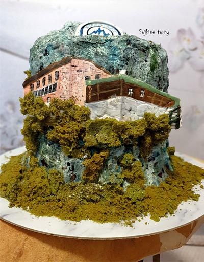 Téry hut:)  - Cake by SojkineTorty