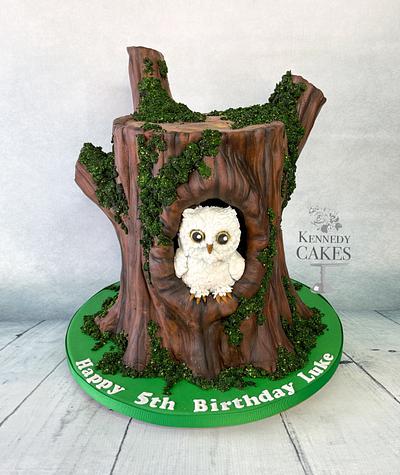 Owl Cake - Cake by Jenny Kennedy Jenny's Haute Cakes