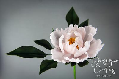 Open Peony - Cake by Designer Cakes By Timilehin
