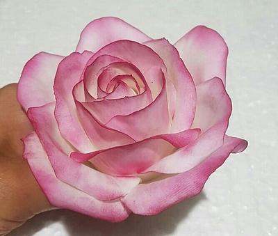 Rosa bicolor en pasta de goma - Cake by María Mercedes Tello