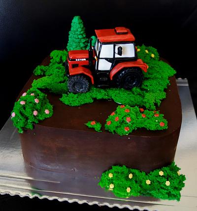tractor - Cake by OSLAVKA