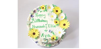Birthday Cousins - Cake by Donna Tokazowski- Cake Hatteras, Martinsburg WV