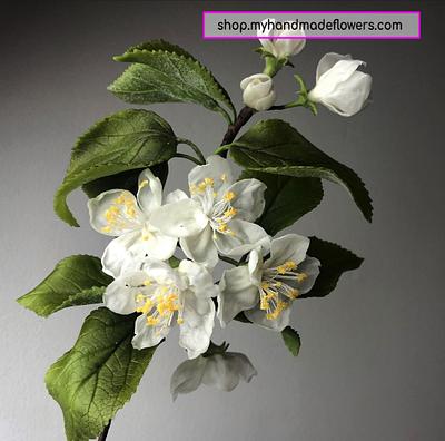 Apple Blossom Flower in Cold Porcelain  - Cake by Christina Wallis Flowers  & Veiners 