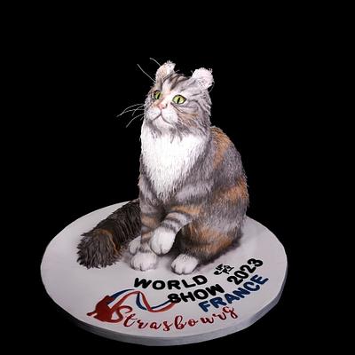 American Curl cat cake - Cake by Mrs P's Cakes