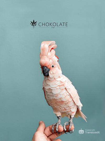 Wafer Paper ART - Wafer Paper Bird - eBook - Cake by ChokoLate Designs