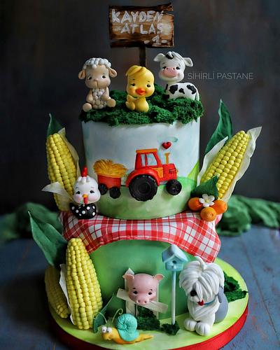 Farm Cake - Cake by Sihirli Pastane