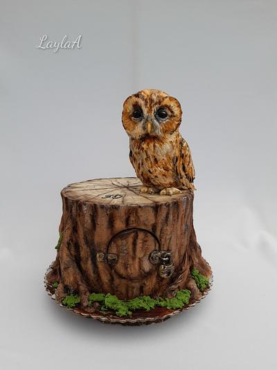 Owl cake - Cake by Layla A