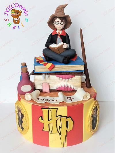 Harry Potter - Cake by Sheila Laura Gallo