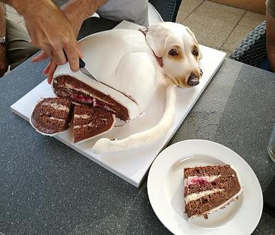 Dog cake - Cake by TortyMia