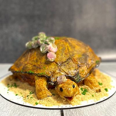Old turtle - Cake by 59 sweets