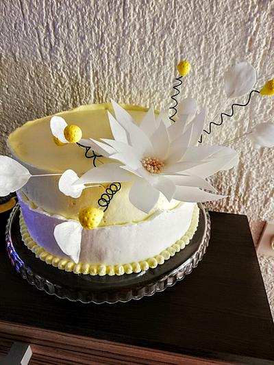 Cake - Cake by Dragana