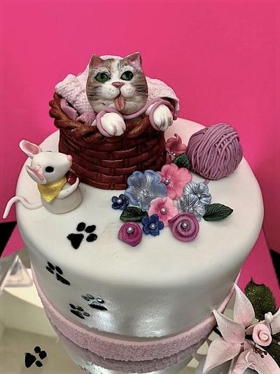 Little Kitten - Cake by Fun Fiesta Cakes  