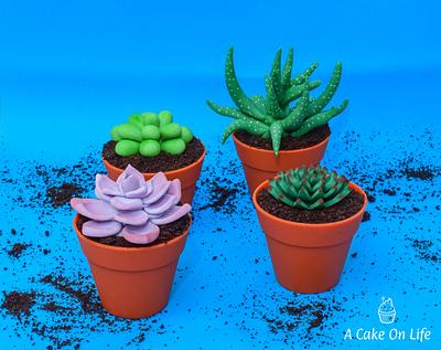 Succulent Mini Cakes - Cake by Acakeonlife