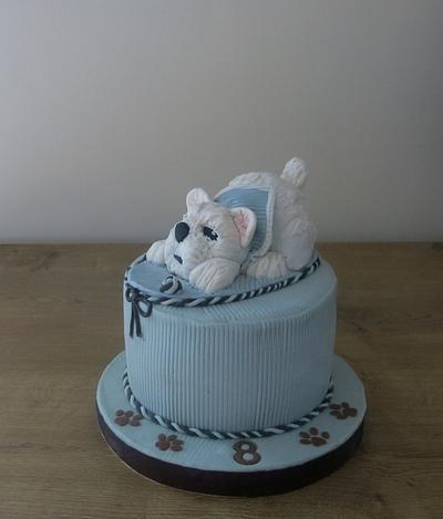 The Shaggy White Puppy - Cake by The Garden Baker