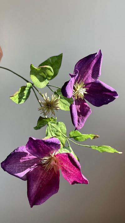 Clematis  , wafer paper  - Cake by  Alena Ujshag