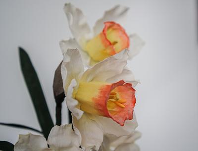 Wafer Paper Daffodils - Cake by Anna Astashkina