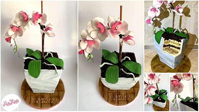 Orchid cake - Cake by MaKao