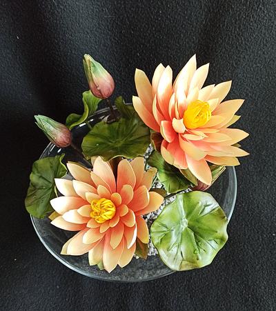 Water lily - Cake by Anka