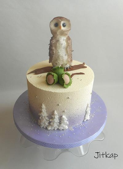 Owl cake - Cake by Jitkap