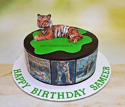 Cake for wild life photographer - Cake by Sweet Mantra Homemade Customized Cakes Pune