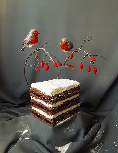 Robins in winter - Cake by Elza