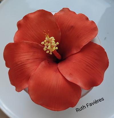 Just an hibiscus !  - Cake by Ruth - Gatoandcake