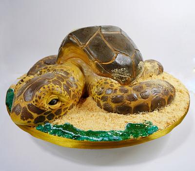 Sea turtle cake - Cake by Paladarte El Salvador