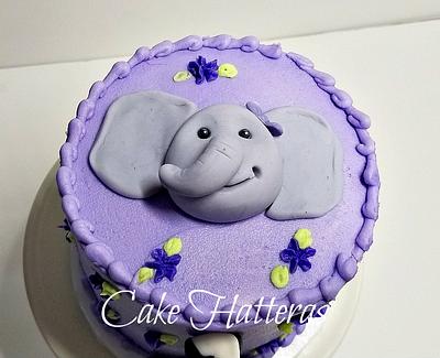 Party Animal - Cake by Donna Tokazowski- Cake Hatteras, Martinsburg WV