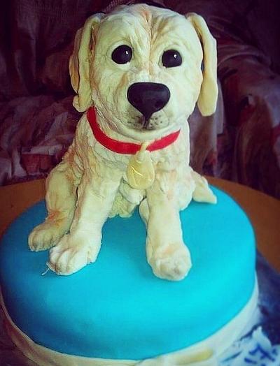 ,, Dog cake,,  - Cake by Desislavako