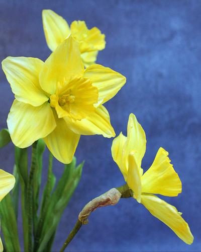Sugar Daffodils  - Cake by Lynette Brandl