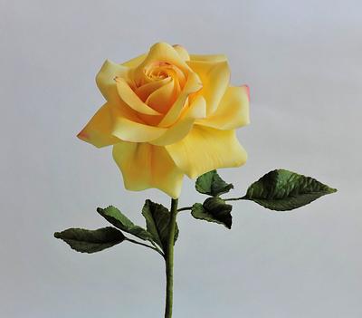 Sentimental Yellow Rose - Cake by Jeanne Winslow