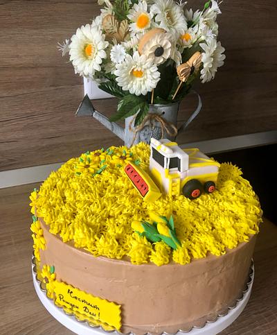 Farmer cake - Cake by Sveta
