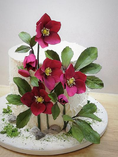 Hellebore cake - Cake by babkaKatka