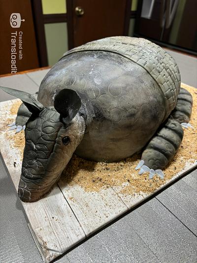 Armadillo Groom's Cake - Cake by Artful Cakery by Julie