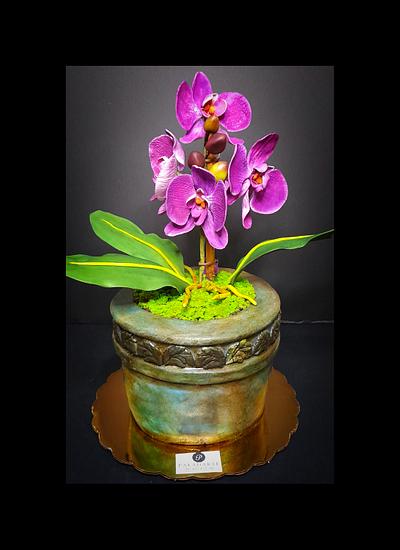 Orchids pot cake - Cake by Paladarte El Salvador