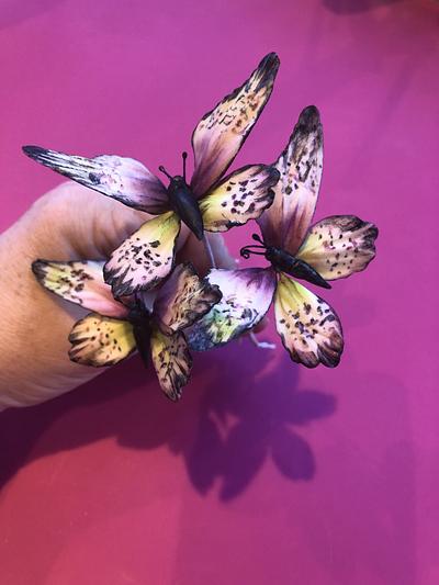 Flower paste Butterfly’s  - Cake by Jollyjilly