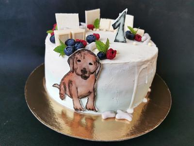 Dog - Cake by ZuzanaHabsudova