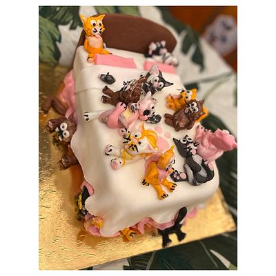 Kočičí narozeninový dortík 😻 (Cat cake)  - Cake by Anič Ka