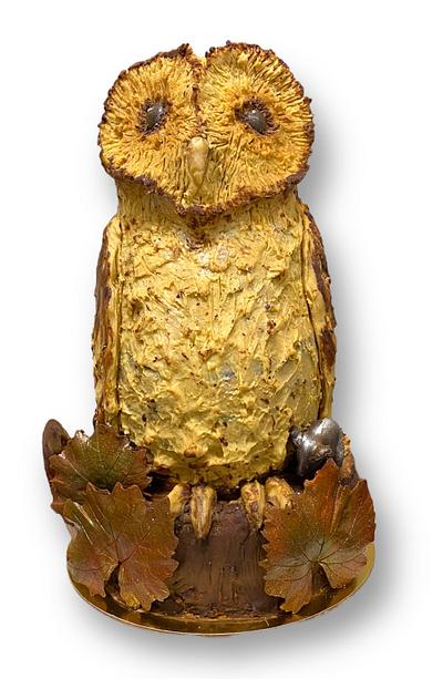 Owl cake - Cake by Carmen Doroga