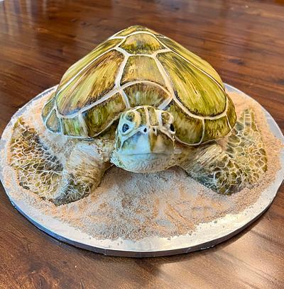 Green Sea Turtle - Cake by Kim