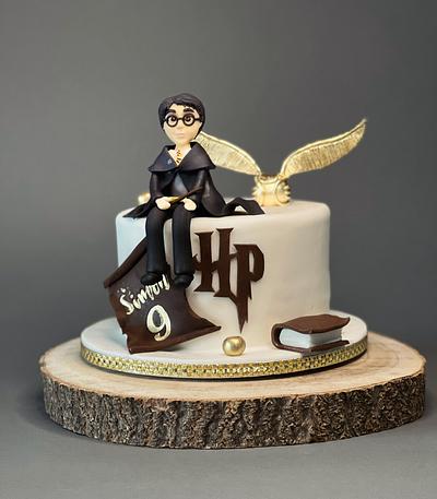 Harry Potter  - Cake by Dominikovo Dortičkovo
