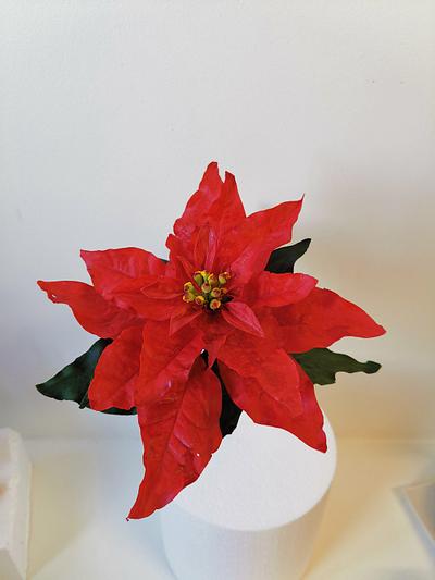 Poinsettia sugar flower - Cake by Nohadpatisse 