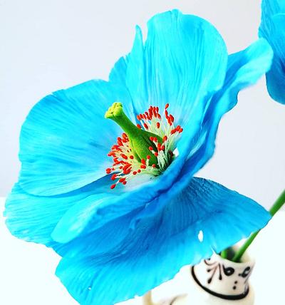 Blue Icelander Poppy  - Cake by Catalina Anghel azúcar'arte